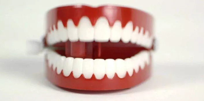 10 Crazy Facts About Your Teeth - The Fact Site