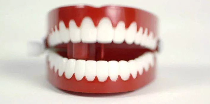 10 Crazy Facts About Your Teeth - The Fact Site 10 Crazy Facts About Your Teeth - The Fact Site