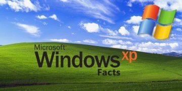 Microsoft Windows XP Facts