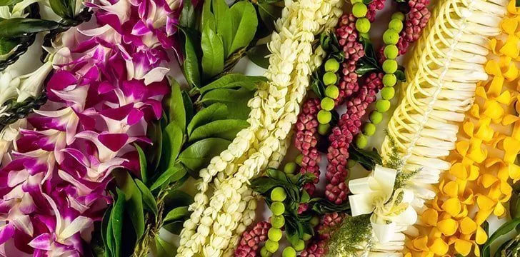 It is considered rude to refuse to wear a lei flower if someone offers it.