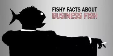 9 Bizarre Facts About Blobfish That You Should Know - The Fact Site