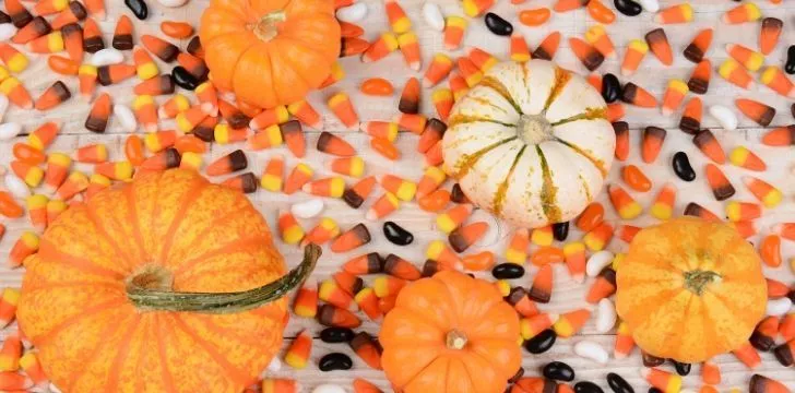 Candy corn spread amongst different squash including pumpkins.