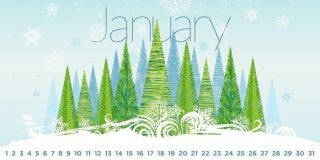 Special Holidays in January