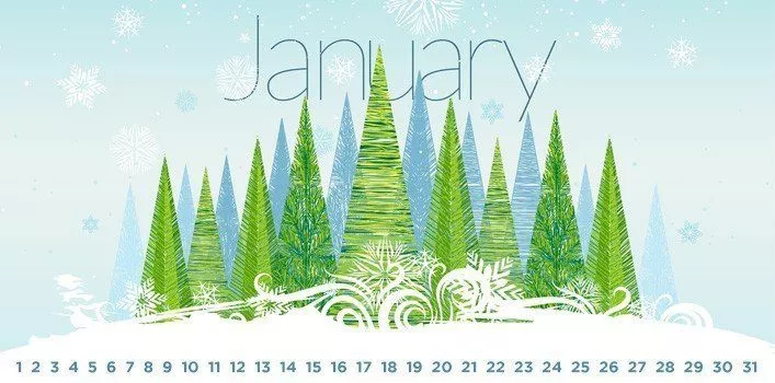 Special Holidays in January
