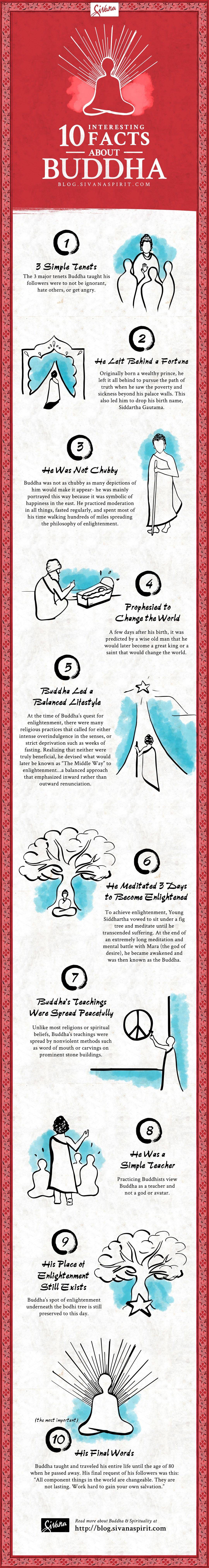 10 Interesting Facts About Buddha Infographic