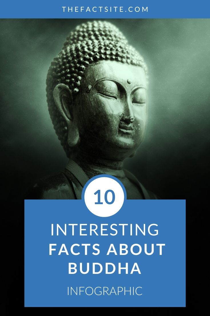 10 Interesting Facts About Buddha InfoGraphic
