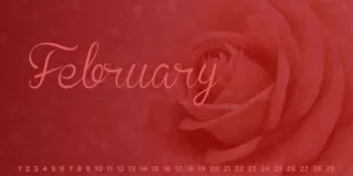 February - 365 Special Days of The Year