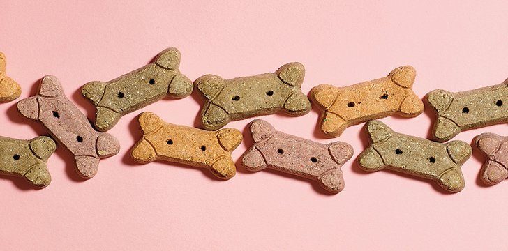 23rd February - Dog Biscuit Day.