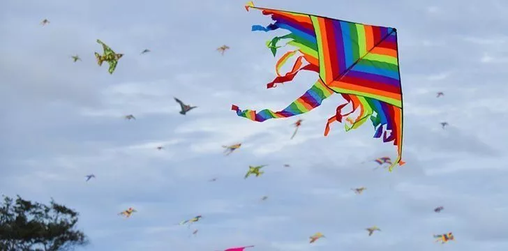 8th February - Kite Flying Day.