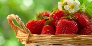 Seven Strawberry Facts