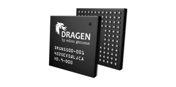 Two small Dragen processor chips.