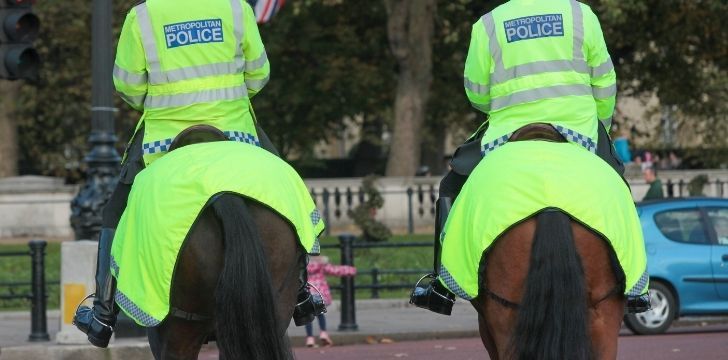 Two police horses