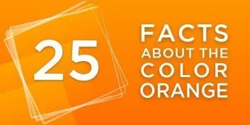 25 Facts About the Color Orange