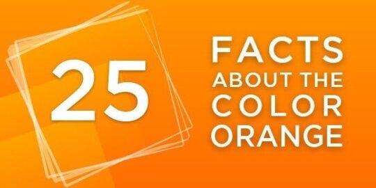 25 Facts About The Color Orange