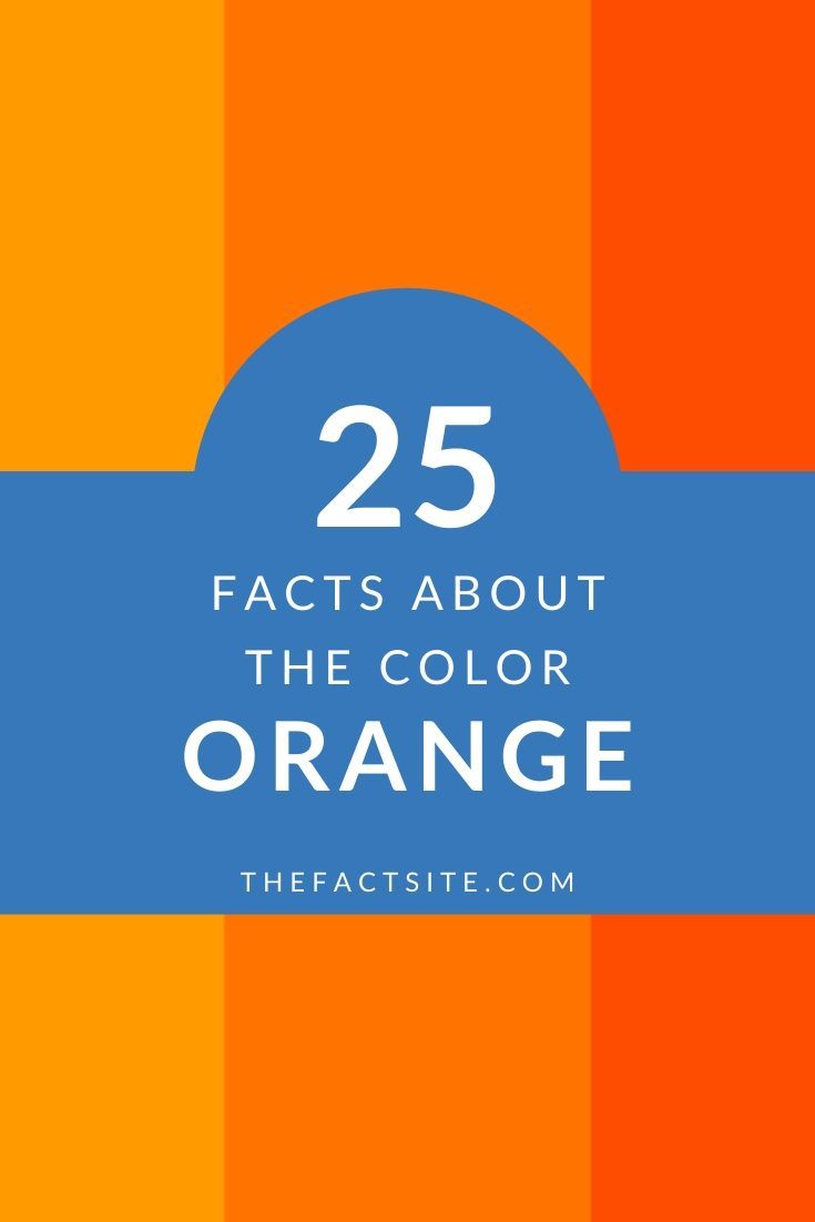 25 Facts About The Color Orange