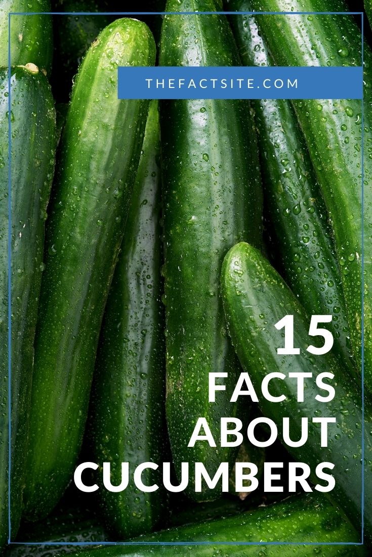 15 Fun Facts About Cucumbers