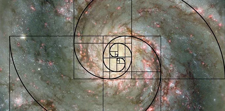 23rd November - Fibonacci Day.