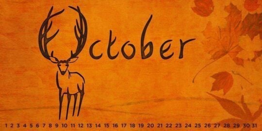 October | Special Days of the Year