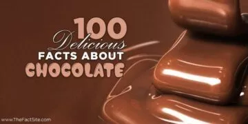 100 Delicious Facts About Chocolate