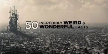 50 Incredibly Weird & Wonderful Facts