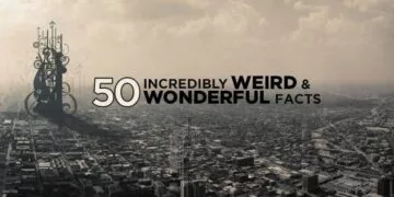 50 Incredibly Weird & Wonderful Facts