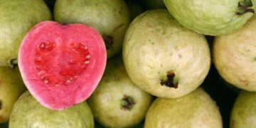 Guava Fruit Facts