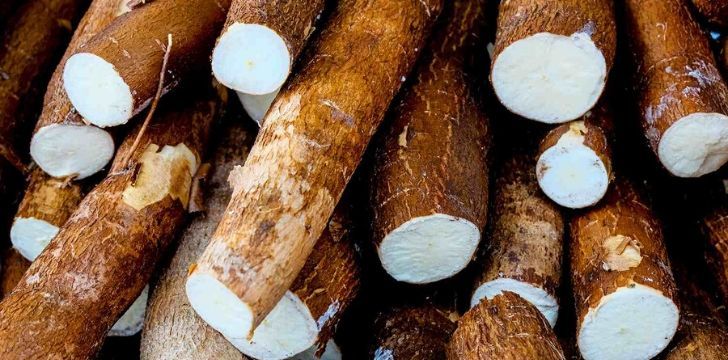 A picture of cassava roots.