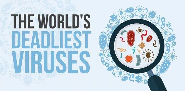 The World's Deadliest Viruses