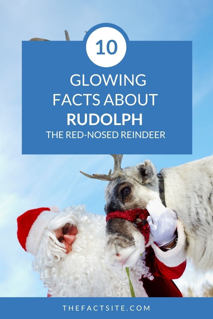 10 Glowing Facts About Rudolph the Red-Nosed Reindeer