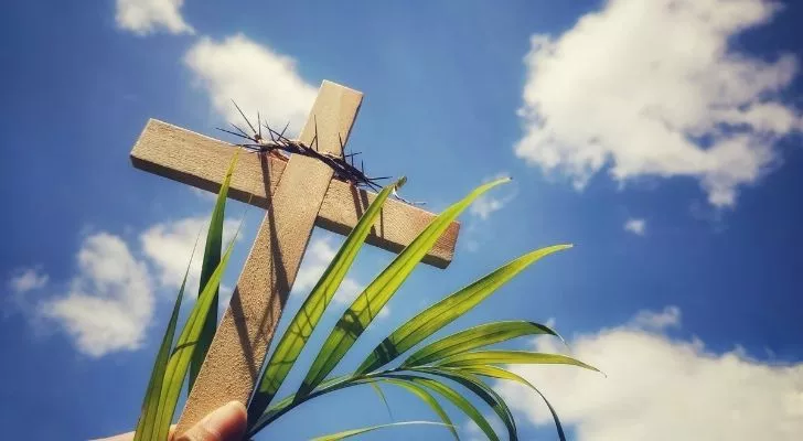 A wooden cross with spikes over the top of it