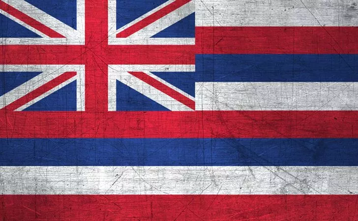 The Hawaiian flag purposefully looks like a combination of the British and American flags.