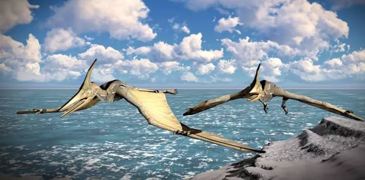 There was a type of Pterodactyl with a bigger wingspan than a fighter jet.