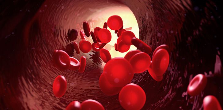 Roughly half a human body is red blood cells.