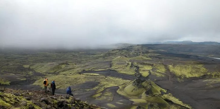 In 1783, a volcanic eruption killed 80% of the Earth’s sheep.