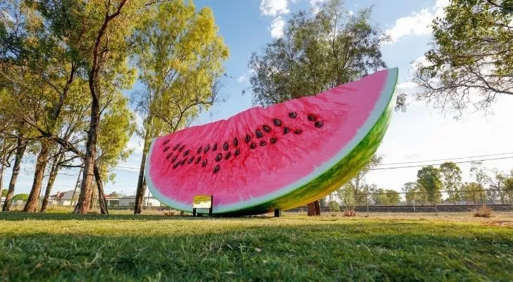 The biggest watermelon slice you could ever imagine