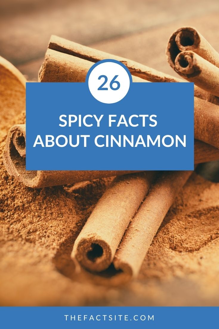 26 Spicy Facts About Cinnamon