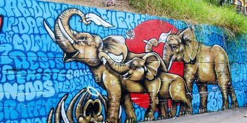 Fun Facts About Graffiti