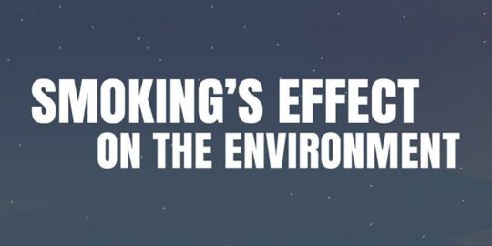 Smoking’s Effect On The Environment [Infographic]