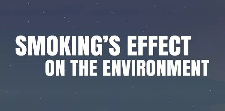 Smoking's Effect On The Environment