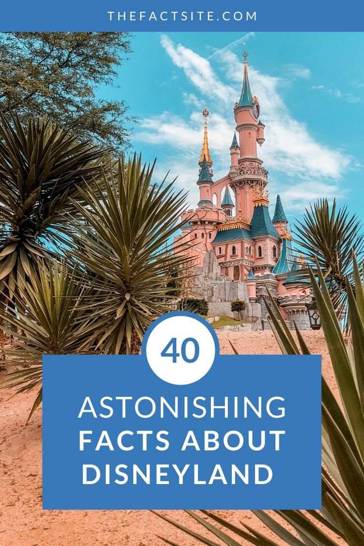 40 Astonishing Facts About Disneyland