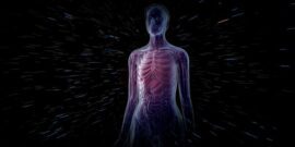 100 Facts About the Human Body