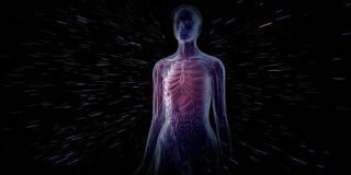 100 Facts About the Human Body