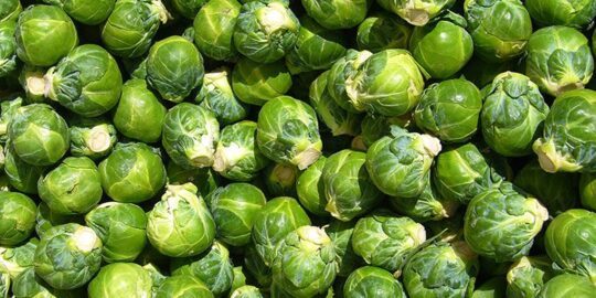 10 Funky Facts About Brussels Sprouts