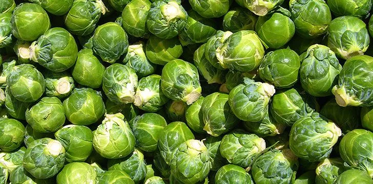 Insane facts about brussels sprouts