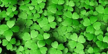 Lucky Facts About Saint Patrick's Day