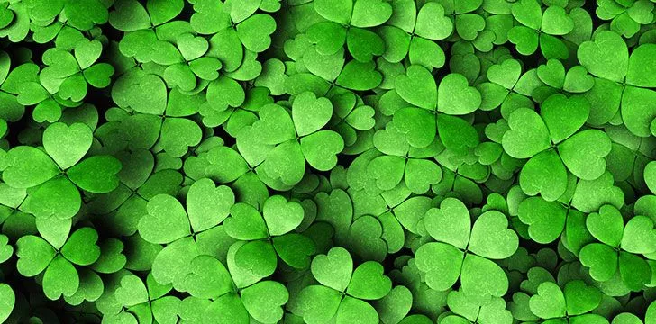 Four Leaf Clover Facts for St. Patrick's Day