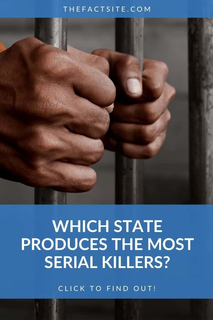 which-state-produces-the-most-serial-killers-the-fact-site