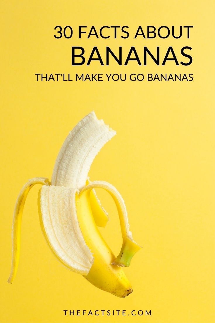 30 Facts About Bananas That Will Make You Go Bananas