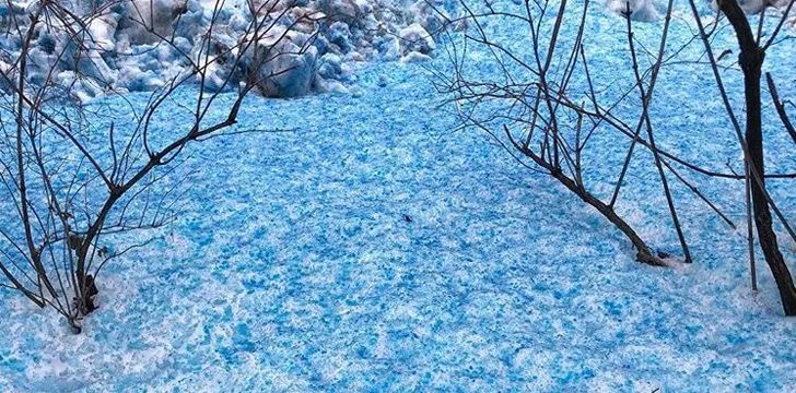 Blue Snow - Russia