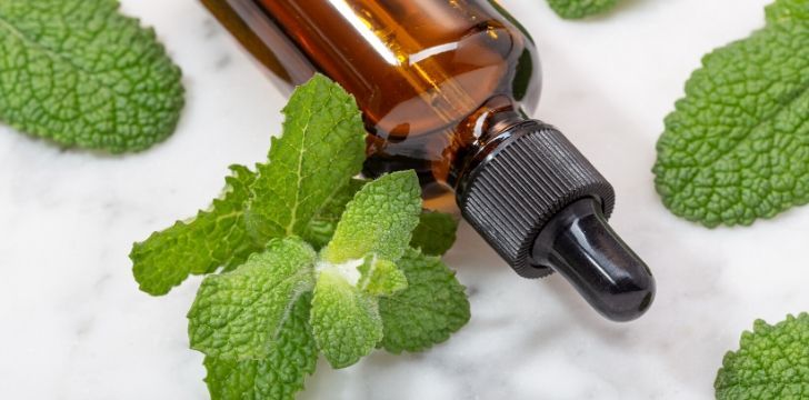 A bottle of peppermint essential oils